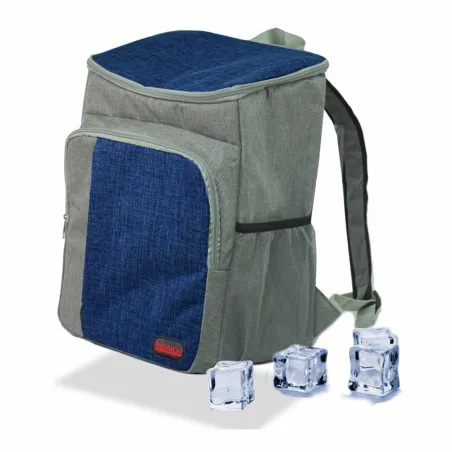Portable Fridge Hidalgo Bicoloured 20 L