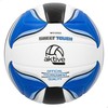 Волейбольный мяч Aktive PVC (24 штук)