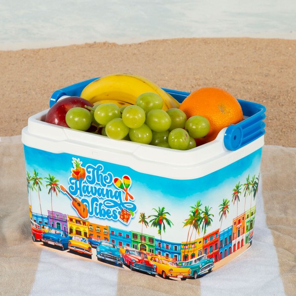 Portable Rigid Cooler Aktive Blue Plastic 5 L 28 x 19 x 21 cm (6 Units)
