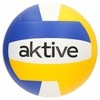 Tinklinio kamuolys Aktive