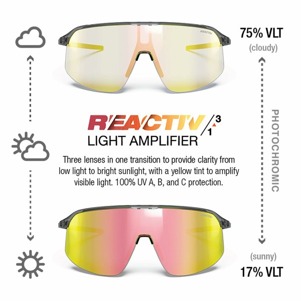 Aurinkolasit Julbo DENSITY Harmaa Pinkki