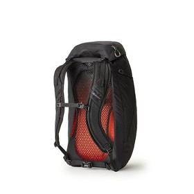 Rucksack Gregory  ARRIO 24 Black
