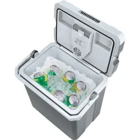 Pārnēsājamais Elektriskais Ledusskapis Mpm MPM-35-CBM-09YA Pelēks 30 L