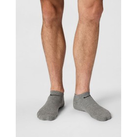 Ankle Sports Socks Nike EVERYDAY SX7673 964 Grey