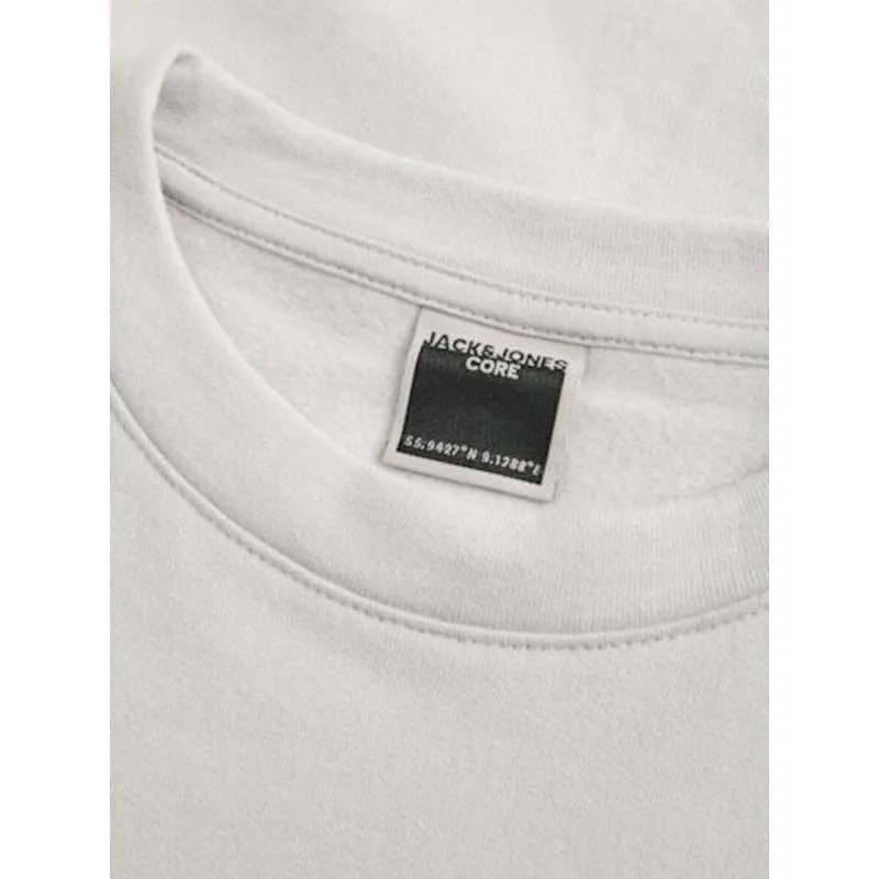 Men’s Sweatshirt without Hood Jack & Jones JCOSTANCE SWEAT CREW NECK 12282821 Grey