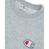 Men’s Sweatshirt without Hood Champion Light grey