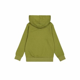 Men’s Hoodie Champion Green