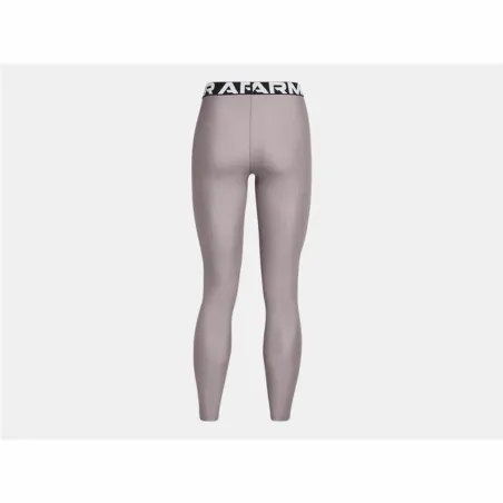 Naisten urheilulegginsit Under Armour Hg Authentics Harmaa