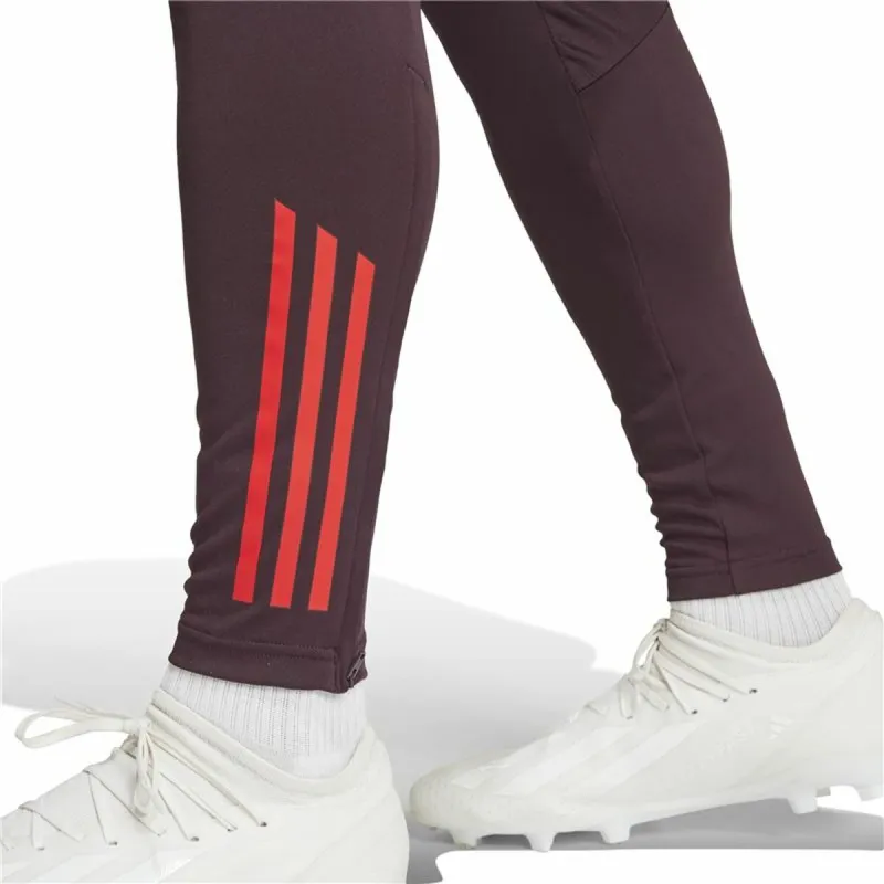 Garās sporta bikses Adidas Fc Bayern 24/25 Tiro24 Brūns Sarkanbrūns Vīriešu