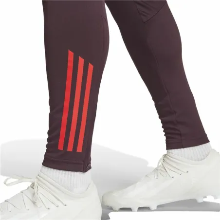 Garās sporta bikses Adidas Fc Bayern 24/25 Tiro24 Brūns Sarkanbrūns Vīriešu
