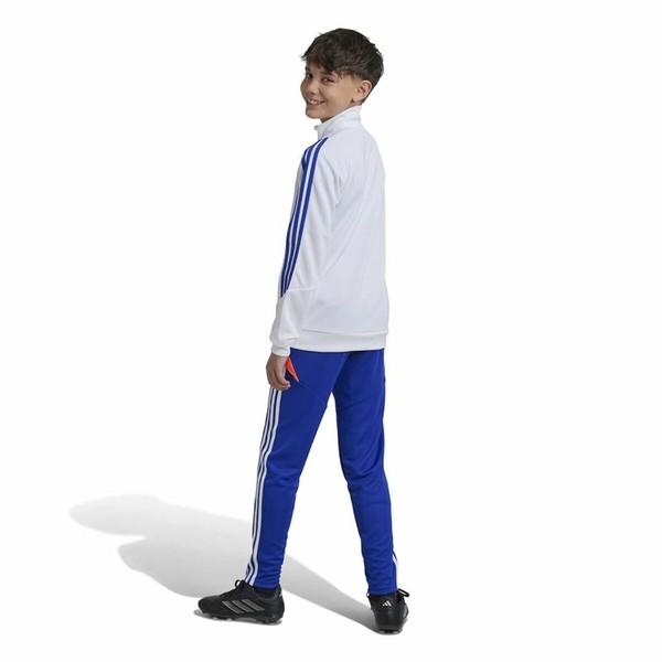 Garās sporta bikses Adidas Tiro24 Training Slim Zils