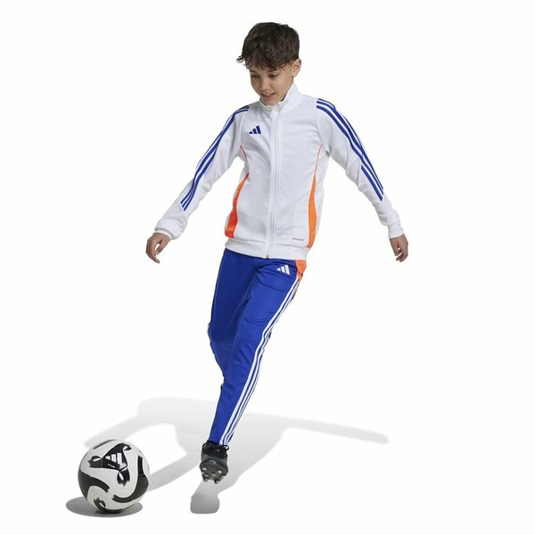 Garās sporta bikses Adidas Tiro24 Training Slim Zils