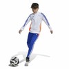 Garās sporta bikses Adidas Tiro24 Training Slim Zils