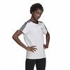 Vīriešu Krekls ar Īsām Piedurknēm Adidas Balts