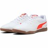 Взрослые кроссовки для футзала Puma Truco III