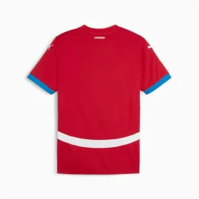 Спортивная футболка с коротким рукавом, мужская Puma Serbia 2024