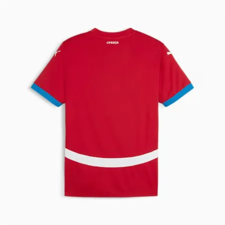 Спортивная футболка с коротким рукавом, мужская Puma Serbia 2024