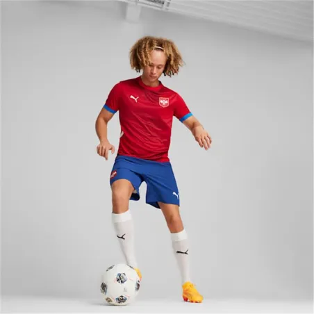 Спортивная футболка с коротким рукавом, мужская Puma Serbia 2024