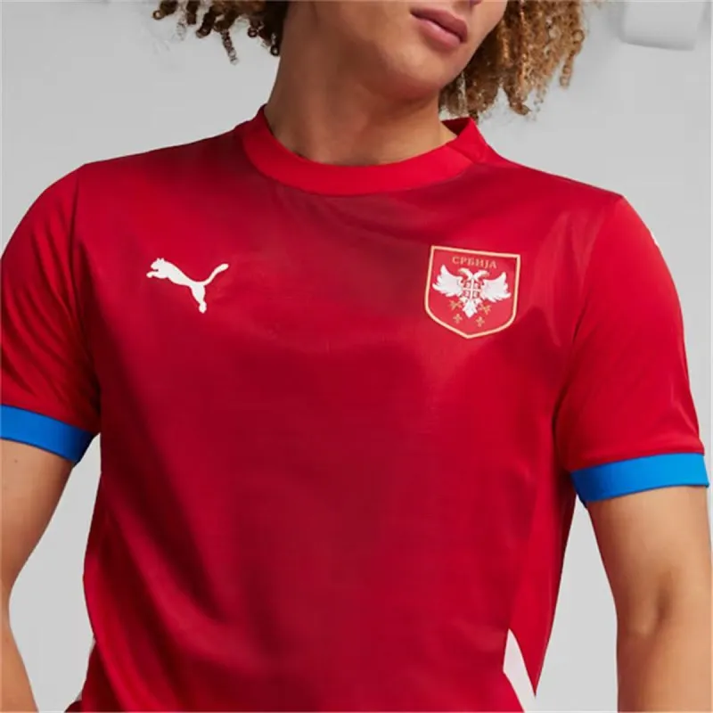 Спортивная футболка с коротким рукавом, мужская Puma Serbia 2024