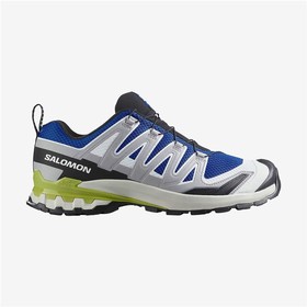 Мужские трейловые кроссовки (бег в горах) Salomon Xa Pro 3D V9 Синий