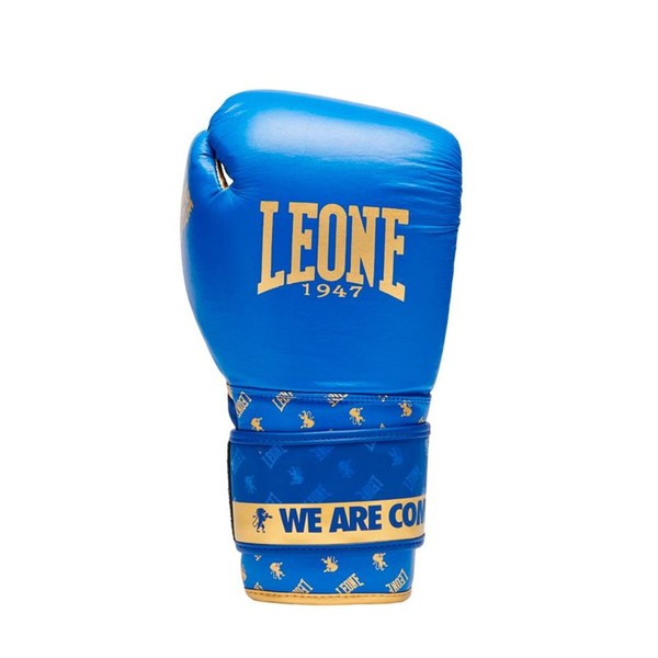 Boxing gloves Leone 1947 Dna