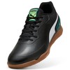 Adult's Indoor Football Shoes Puma Truco III Black