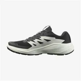 Мужские трейловые кроссовки (бег в горах) Salomon Alphaglide Чёрный
