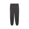 Ilgos sportinės kelnės Puma Maximal Metallic Swe Pilka Vyras