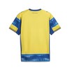 Спортивная футболка с коротким рукавом, мужская Puma Parma Calcio Away