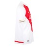 Спортивная футболка с коротким рукавом, мужская Mizuno Monaco Home
