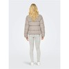 Women's Sports Jacket Only Onlnewcool