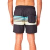 Vyriškos glaudės Rip Curl Framed Volley Juoda