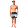Vyriškos glaudės Rip Curl Framed Volley Juoda