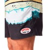 Vyriškos glaudės Rip Curl Framed Volley Juoda