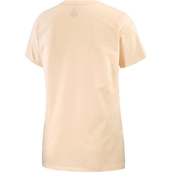Men’s Short Sleeve T-Shirt Salomon Beige
