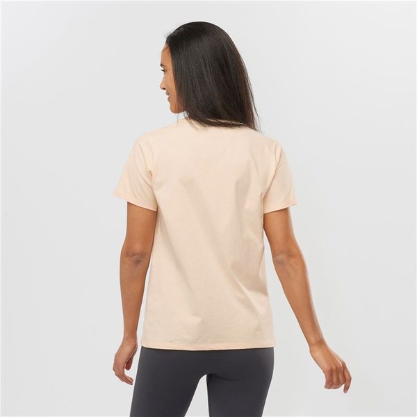Men’s Short Sleeve T-Shirt Salomon Beige