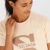 Men’s Short Sleeve T-Shirt Salomon Beige