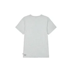 Miesten T-paita Picture MTS1021.A Harmaa