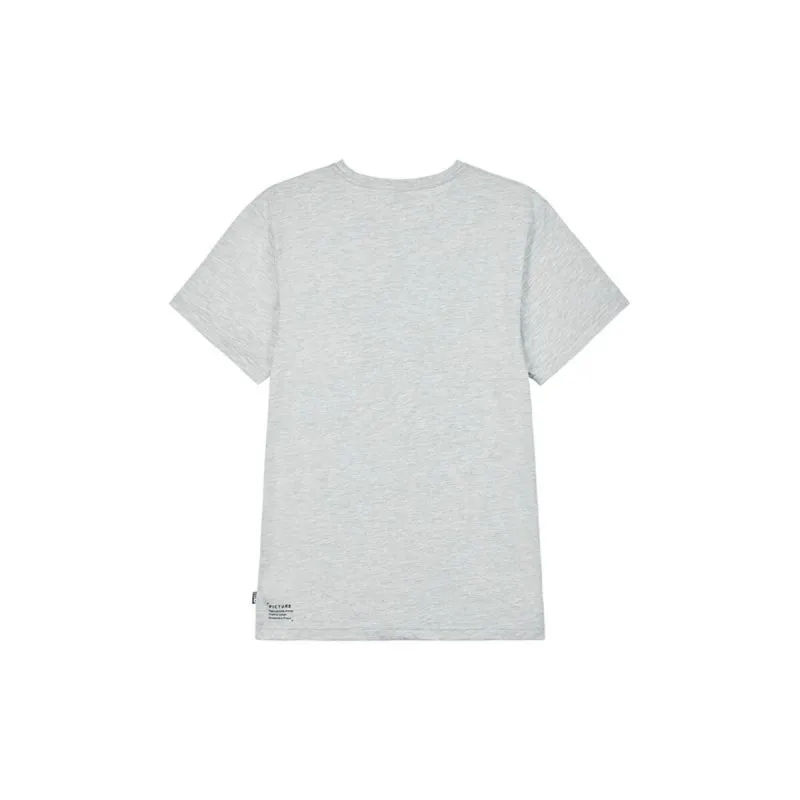 Miesten T-paita Picture MTS1021.A Harmaa