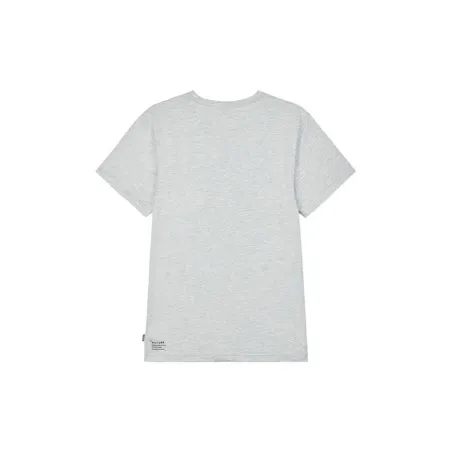 Miesten T-paita Picture MTS1021.A Harmaa