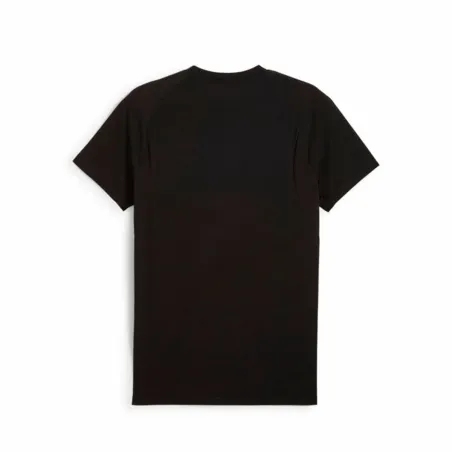 Miesten T-paita Puma Evostripe