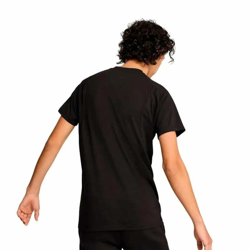 Miesten T-paita Puma Evostripe
