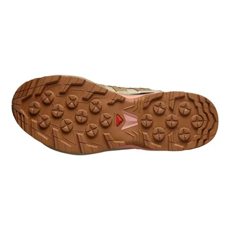 Pastaigu Kurpes Sievietēm Salomon X-Adventure Recon Gtx Bēšs