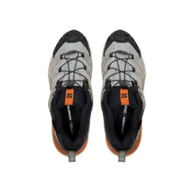 Vaikščiojimo batai vyrams Salomon X Ultra 360 Ltr Gtx Ruda