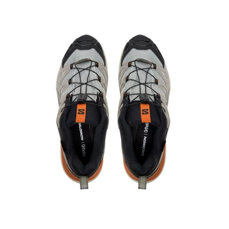 Vaikščiojimo batai vyrams Salomon X Ultra 360 Ltr Gtx Ruda