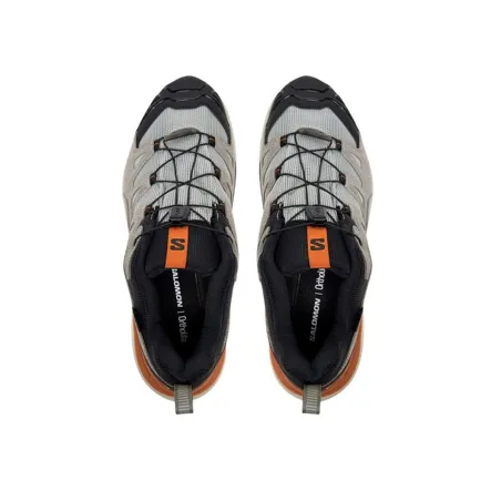 Vaikščiojimo batai vyrams Salomon X Ultra 360 Ltr Gtx Ruda