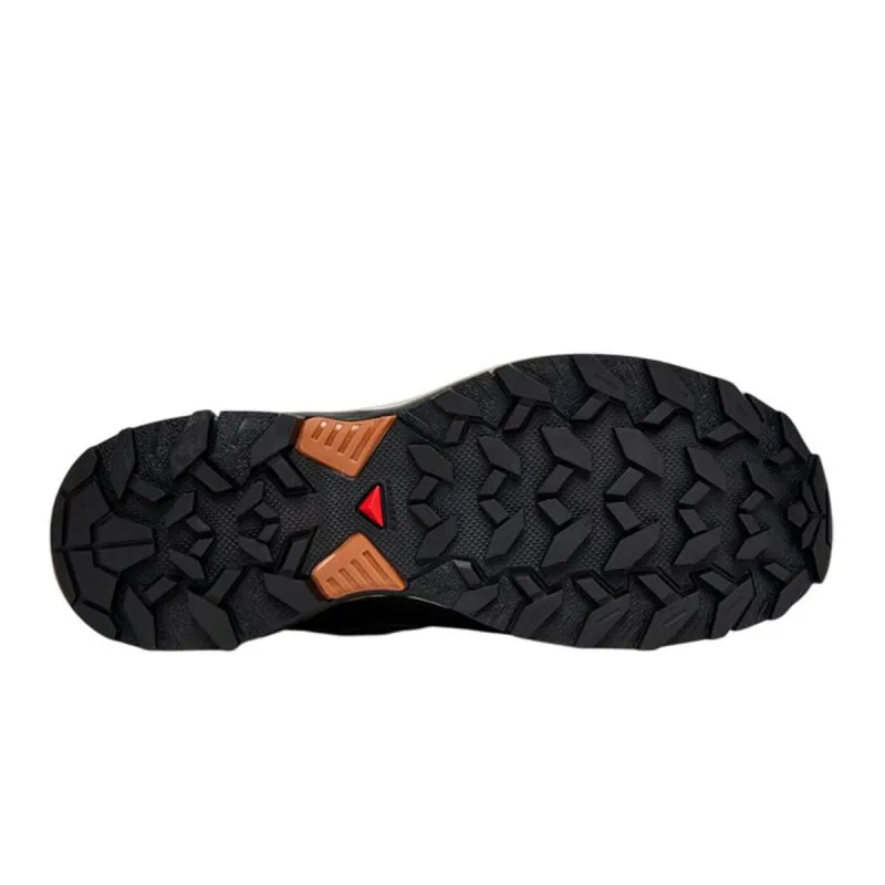 Vaikščiojimo batai vyrams Salomon X Ultra 360 Ltr Gtx Ruda