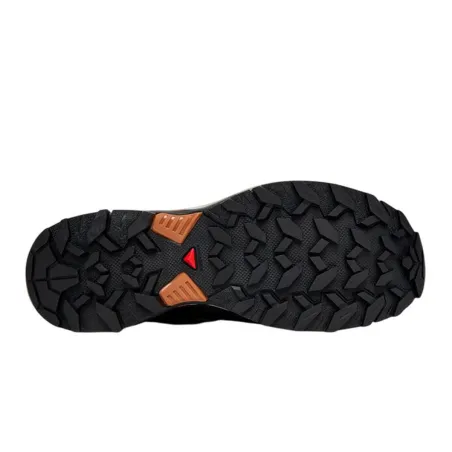 Vaikščiojimo batai vyrams Salomon X Ultra 360 Ltr Gtx Ruda