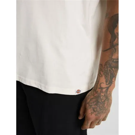 Miesten T-paita Dickies Sneedville Ss Beige