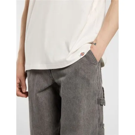 Miesten T-paita Dickies Burns Ss Valkoinen